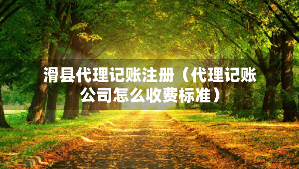 滑縣代理記賬注冊（代理記賬公司怎么收費標(biāo)準(zhǔn)）