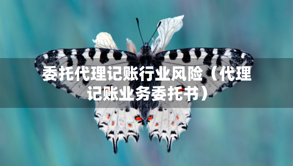 委托代理記賬行業(yè)風(fēng)險(xiǎn)（代理記賬業(yè)務(wù)委托書）