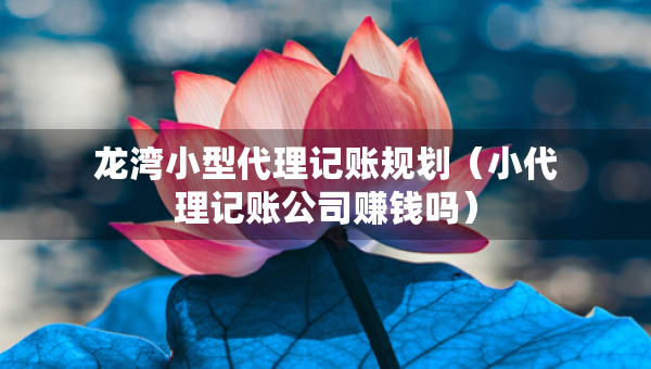 龍灣小型代理記賬規(guī)劃（小代理記賬公司賺錢嗎）