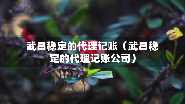 武昌穩(wěn)定的代理記賬（武昌穩(wěn)定的代理記賬公司）