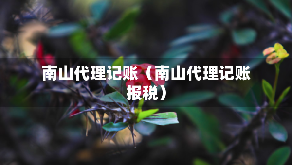 南山代理記賬（南山代理記賬報(bào)稅）