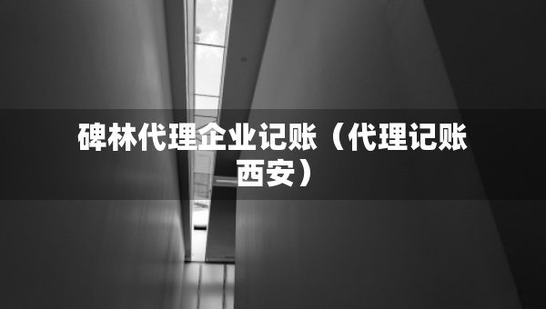 碑林代理企業(yè)記賬（代理記賬西安）