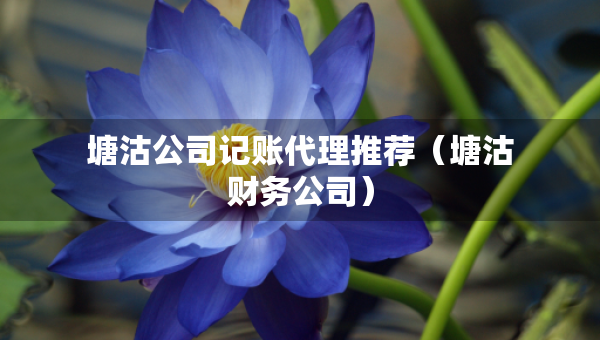 塘沽公司記賬代理推薦（塘沽財(cái)務(wù)公司）