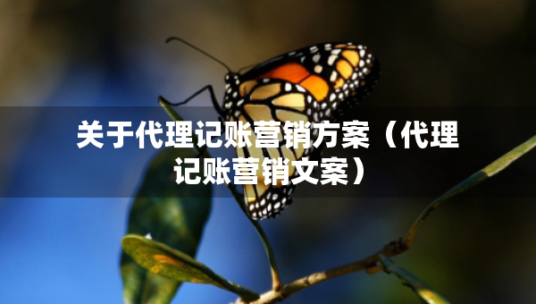 關(guān)于代理記賬營(yíng)銷(xiāo)方案（代理記賬營(yíng)銷(xiāo)文案）