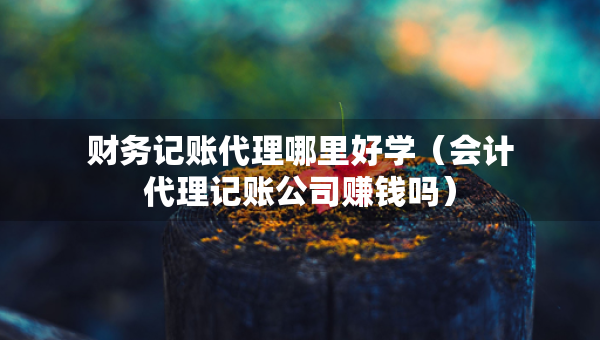 財(cái)務(wù)記賬代理哪里好學(xué)（會(huì)計(jì)代理記賬公司賺錢嗎）