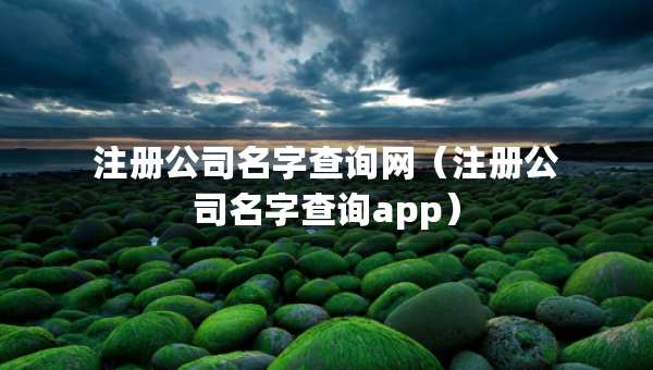 注冊公司名字查詢網(wǎng)（注冊公司名字查詢app）