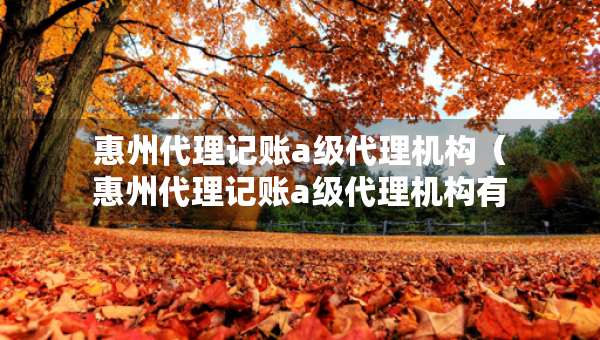 惠州代理記賬a級(jí)代理機(jī)構(gòu)（惠州代理記賬a級(jí)代理機(jī)構(gòu)有哪些）