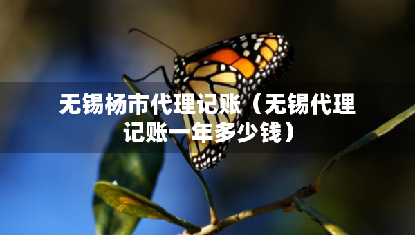 無(wú)錫楊市代理記賬（無(wú)錫代理記賬一年多少錢）