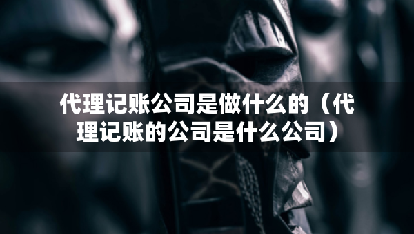 代理記賬公司是做什么的（代理記賬的公司是什么公司）