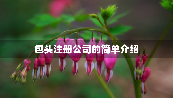 包頭注冊(cè)公司的簡(jiǎn)單介紹