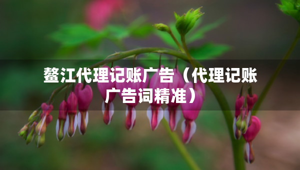 鰲江代理記賬廣告（代理記賬廣告詞精準(zhǔn)）