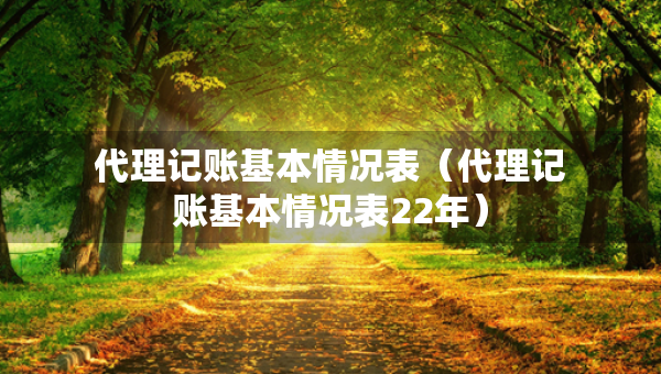 代理記賬基本情況表（代理記賬基本情況表22年）