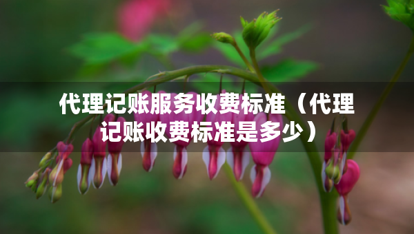 代理記賬服務(wù)收費標(biāo)準(zhǔn)（代理記賬收費標(biāo)準(zhǔn)是多少）