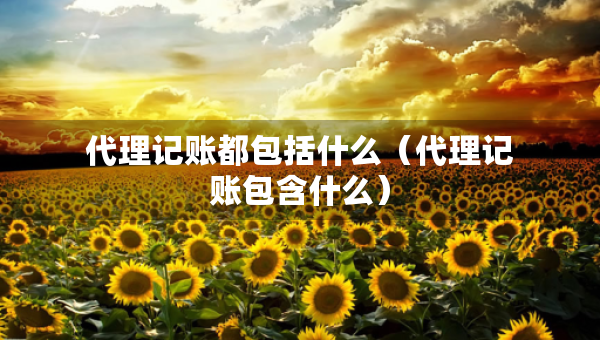 代理記賬都包括什么（代理記賬包含什么）