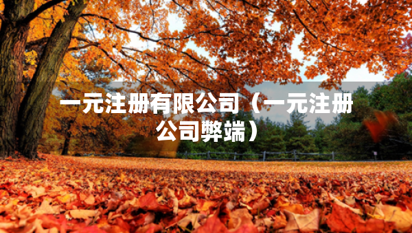 一元注冊(cè)有限公司（一元注冊(cè)公司弊端）