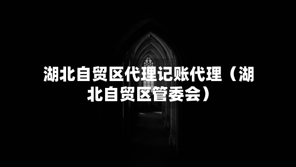 湖北自貿(mào)區(qū)代理記賬代理（湖北自貿(mào)區(qū)管委會）