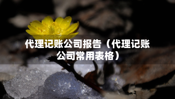 代理記賬公司報告（代理記賬公司常用表格）