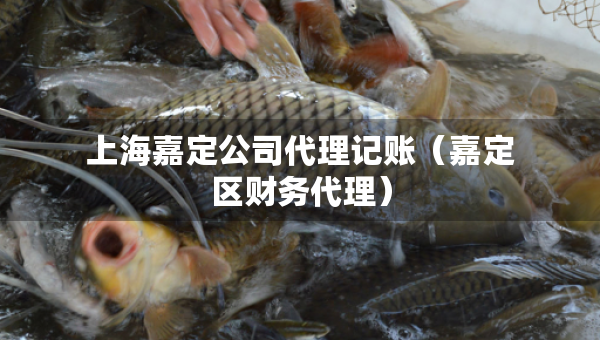 上海嘉定公司代理記賬（嘉定區(qū)財(cái)務(wù)代理）