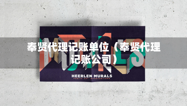 奉賢代理記賬單位（奉賢代理記賬公司）