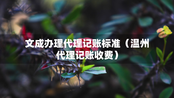 文成辦理代理記賬標(biāo)準(zhǔn)（溫州代理記賬收費(fèi)）