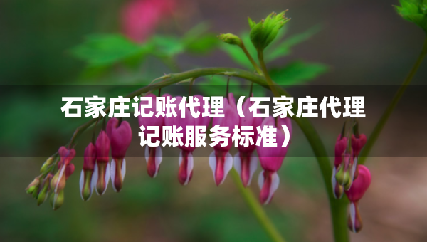 石家莊記賬代理（石家莊代理記賬服務(wù)標(biāo)準(zhǔn)）