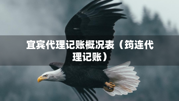 宜賓代理記賬概況表（筠連代理記賬）