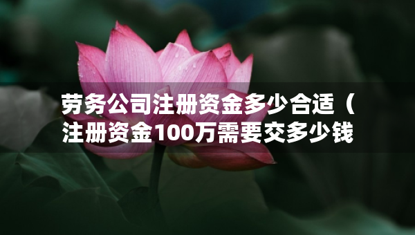 勞務(wù)公司注冊資金多少合適（注冊資金100萬需要交多少錢）