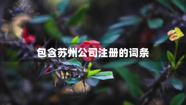 包含蘇州公司注冊(cè)的詞條