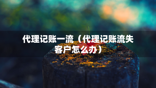 代理記賬一流（代理記賬流失客戶怎么辦）