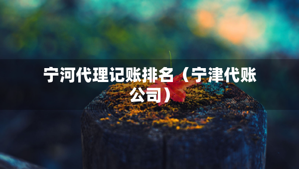 寧河代理記賬排名（寧津代賬公司）