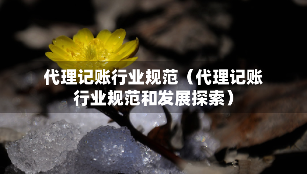 代理記賬行業(yè)規(guī)范（代理記賬行業(yè)規(guī)范和發(fā)展探索）