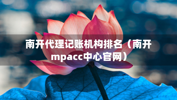 南開代理記賬機構(gòu)排名（南開mpacc中心官網(wǎng)）