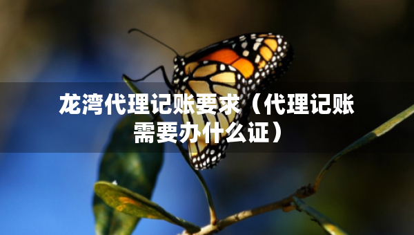 龍灣代理記賬要求（代理記賬需要辦什么證）