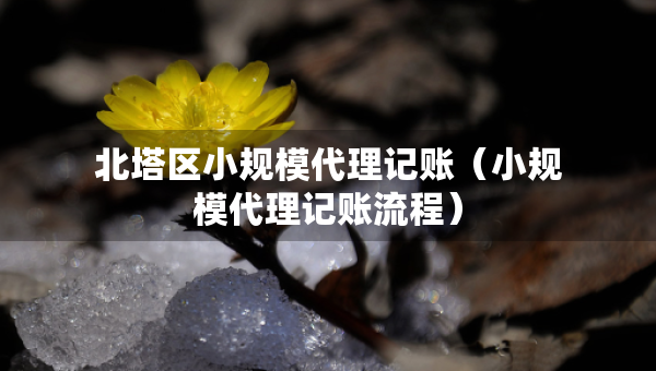 北塔區(qū)小規(guī)模代理記賬（小規(guī)模代理記賬流程）