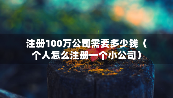 注冊100萬公司需要多少錢（個人怎么注冊一個小公司）