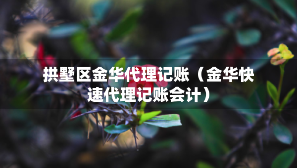 拱墅區(qū)金華代理記賬（金華快速代理記賬會計）