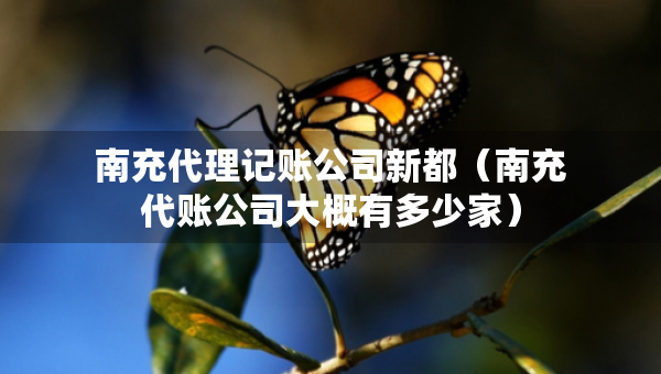 南充代理記賬公司新都（南充代賬公司大概有多少家）