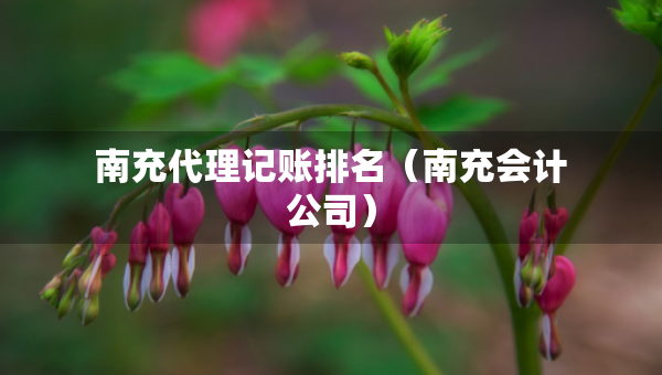 南充代理記賬排名（南充會計公司）