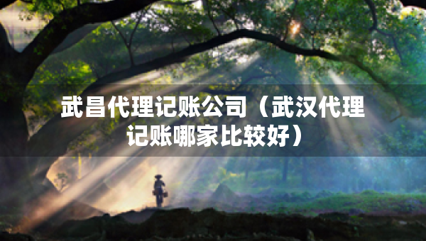 武昌代理記賬公司（武漢代理記賬哪家比較好）