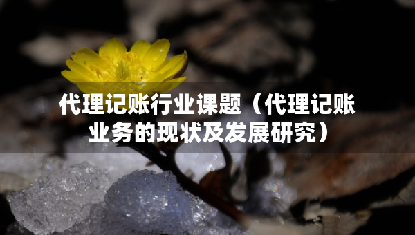 代理記賬行業(yè)課題（代理記賬業(yè)務(wù)的現(xiàn)狀及發(fā)展研究）