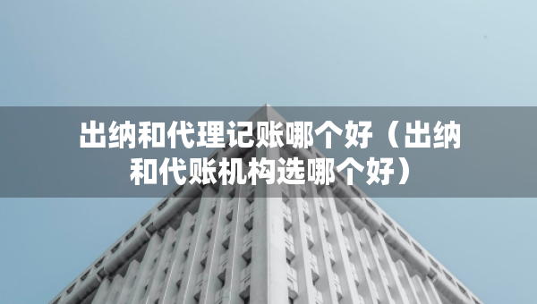 出納和代理記賬哪個好（出納和代賬機構(gòu)選哪個好）