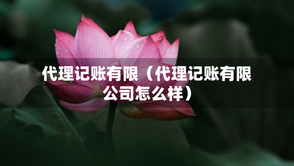 代理記賬有限（代理記賬有限公司怎么樣）