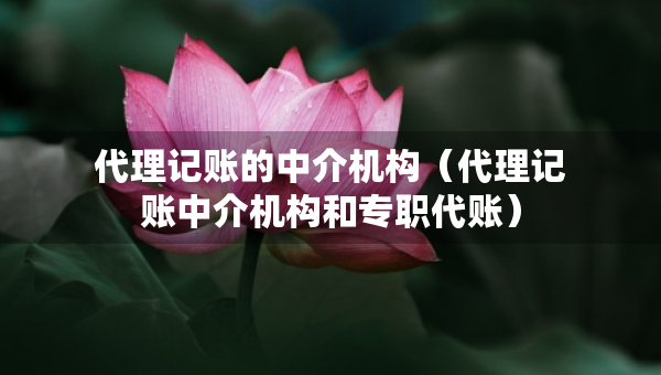 代理記賬的中介機(jī)構(gòu)（代理記賬中介機(jī)構(gòu)和專職代賬）