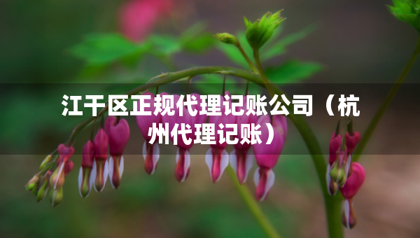 江干區(qū)正規(guī)代理記賬公司（杭州代理記賬）