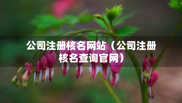 公司注冊(cè)核名網(wǎng)站（公司注冊(cè)核名查詢官網(wǎng)）