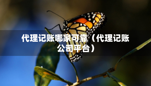 代理記賬哪家可靠（代理記賬公司平臺）