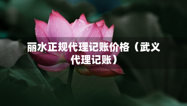 麗水正規(guī)代理記賬價格（武義代理記賬）