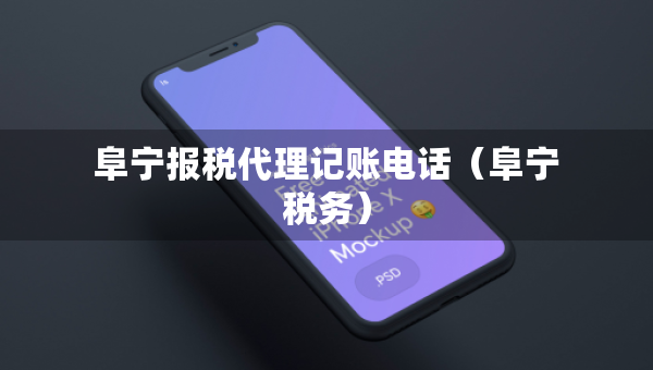 阜寧報(bào)稅代理記賬電話（阜寧稅務(wù)）