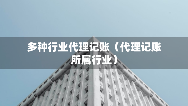 多種行業(yè)代理記賬（代理記賬所屬行業(yè)）