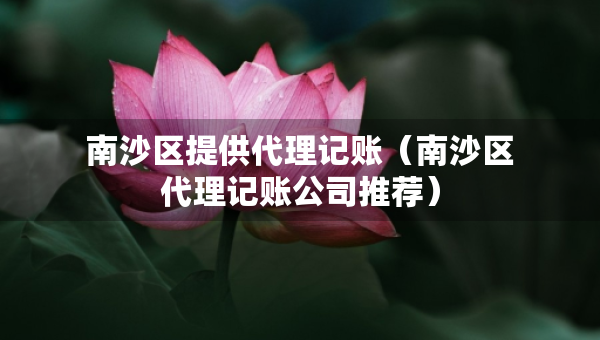 南沙區(qū)提供代理記賬（南沙區(qū)代理記賬公司推薦）